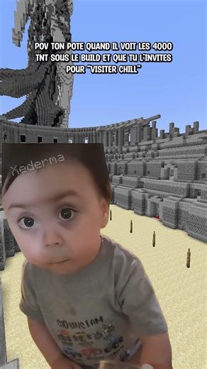 Ouais ouais chill..#minecraft #humour #gamingfr #pourtoi #minecraftfr #memes #drôle #2b2t #3b3france