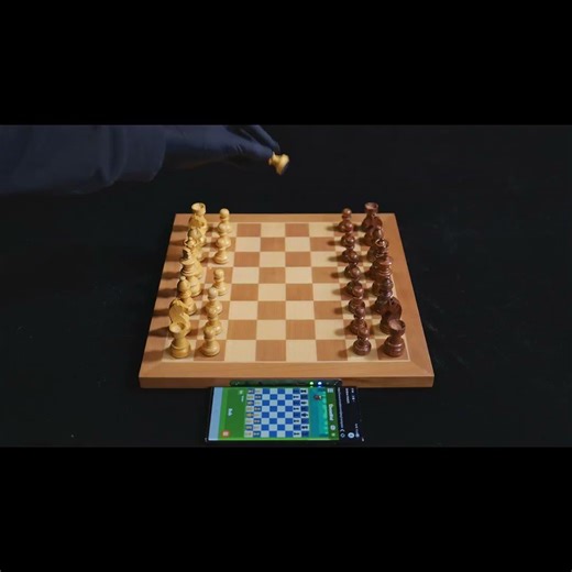 When the chessboard becomes your child’s little genius companion #chess #chessnut#chessgame