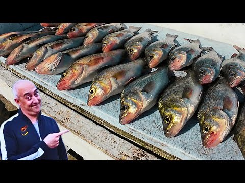 EVERY White Perch Fishing Tip You Need In 8 Minutes!