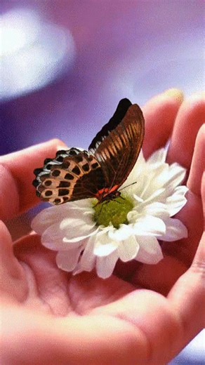 Inspiring Prayer Moments with CapCut