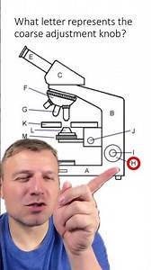 Quiz: Microscopes Parts