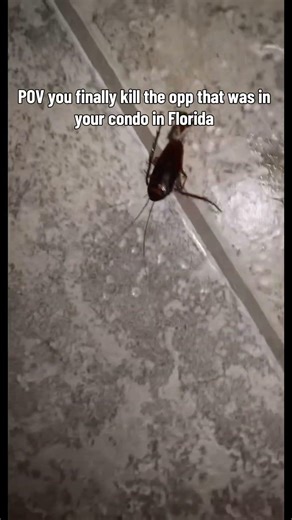 Number one Victory Royale #shortsviral