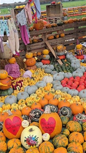 This Pumpkin Place Looks Unreal… 🎃🍂 #Shorts