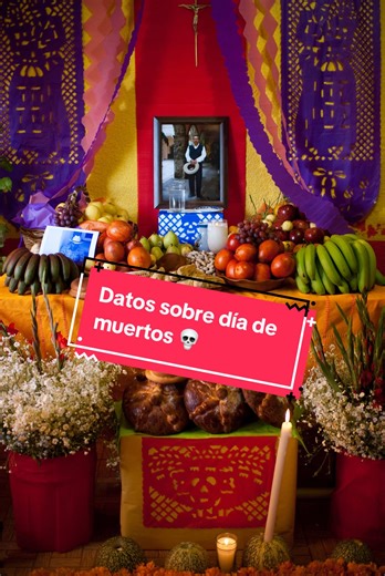 5 Datos sobre el día de muertos ¿ya conocías todos estos datos sobre el día de los muertos? 🧡##sabiasque##datoscuriosos##diademuertos##xoloitzcuintle##coco