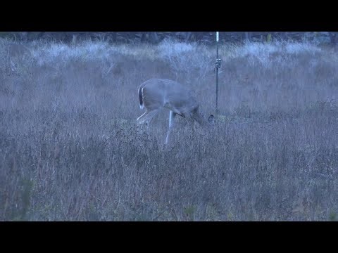 There will soon be new requirements to get hunting and fishing licenses in Texas