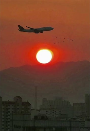 Rimsky-Korsakov: Flight of the Bumblebee - Isaac Stern, violin