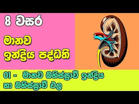 Grade 8 Science Unit 9 Part 1 | Excretory System | බහිස්ස්‍රාවි ඉන්ද්‍රිය හා බහිස්ස්‍රාවි ඵල