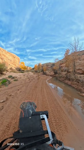 21 reactions | Color is still holding on in the desert!❤️❤️Tap for full screen video! | Matthew Jensen | Facebook