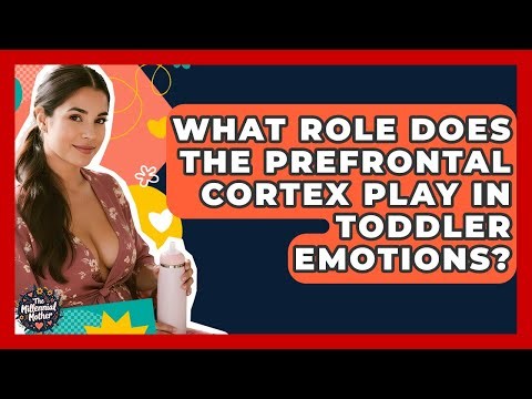 What Role Does The Prefrontal Cortex Play In Toddler Emotions? - The Millennial Mother