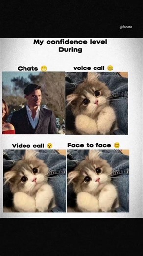 pov:- my confidence level when I have long hairs 🧏🏻✨ \\zaynmalikedits\\ #zaynmalik #mogger