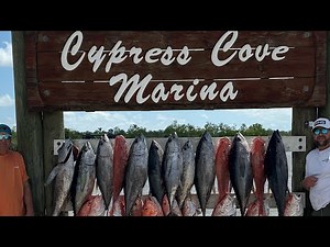 How to live bait for tunas