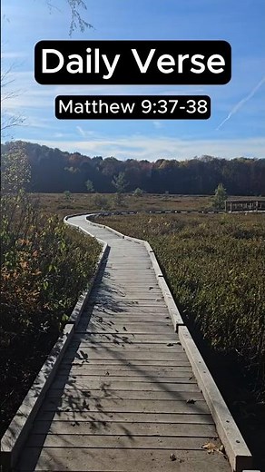 1 Verse, 1 Minute: Matthew 9:37-38