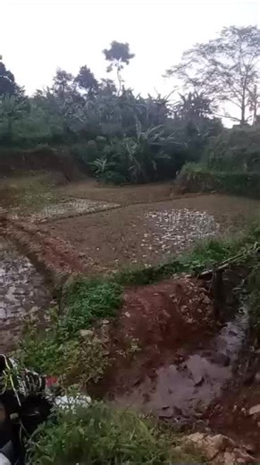 Alam Varis Van Java on TikTok