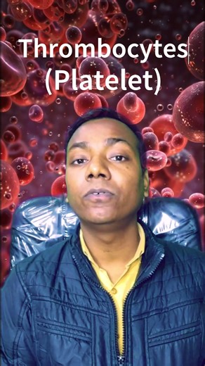 The Pharmacist on Instagram: "Platelets, Platelet Plug Formation, Hemostasis"