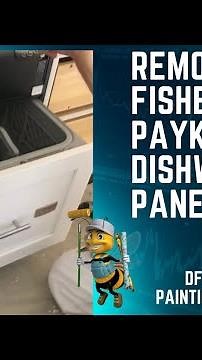 Removing Fisher and Paykel dishwasher panels