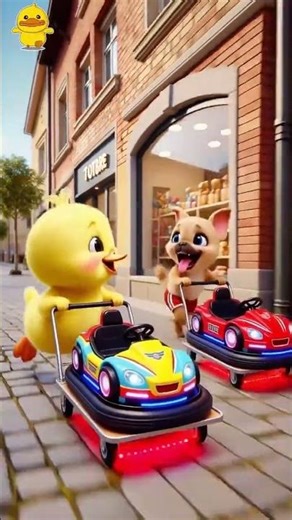 Duck is driving a rc car #shorts