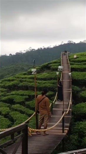 The green charm of Mount Gambir Semboro, Jember, East Java