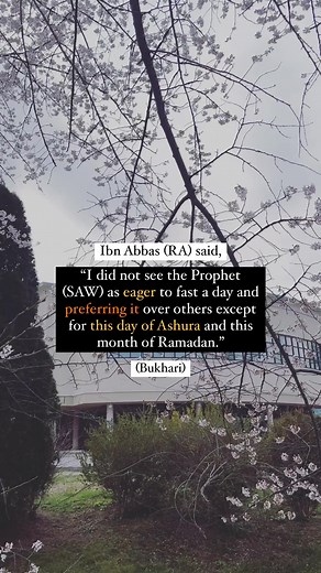 It’s the 10th of Muharram, and this means it is the day of Ashura (literally translated as ‘the tenth’), a blessed day in the Islamic calendar. To all of those able to fast today, may Allah (SWT) accept your efforts and forgive your mistakes, and allow you to start the Islamic year off with a clean slate. “Fast the day of Ashura, for indeed I anticipate that Allah will forgive the (the sins of) the year before it.” (Tirmidhi) To those who may have missed the opportunity to fast on the 10th of Mu
