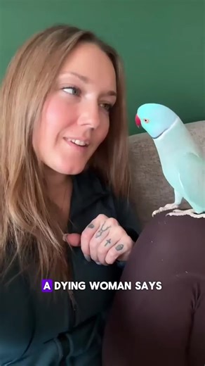 A dying woman says goodbye to her parrot. The bird's response will make you cry. #parrot #bird #storytime #LearnOnTikTok #truestory