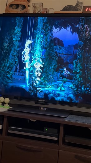 junjun on Instagram: "クリスマスはママちゃんD時代の動画鑑賞会🎅🎄 あの頃は楽しかったなぁ〜🥹 #ディズニー #ミスティックリズム #ワンマンズドリーム２"