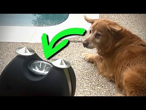 Unboxing of VIPERTEK VTS-989 Stun Gun - Rechargeable with LED Flashlight