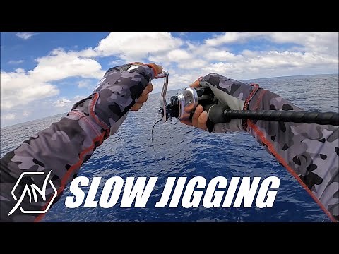 Red Snapper on Slow Jigging - Shimano Tranx 401