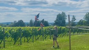 495 reactions · 133 shares | Summer Holiday Spectacular is here with...