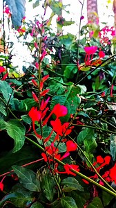 Looking something priceless | Inner Wealth Mix