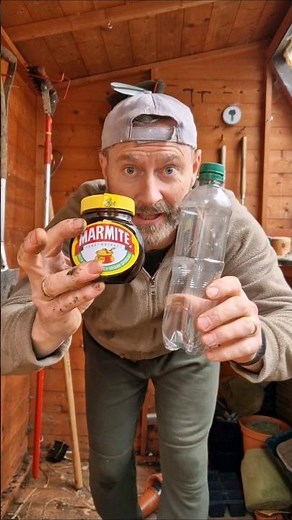 How to make a Slug trap using plastic bottles and Marmite. #gardening #growyourown #slugs #trending