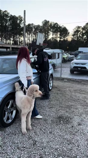 BMW Towing Service: A Hilarious Miscommunication