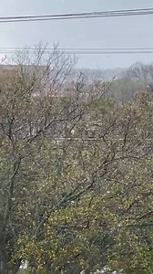 10K views · 89 reactions | There have been severeal reports of...