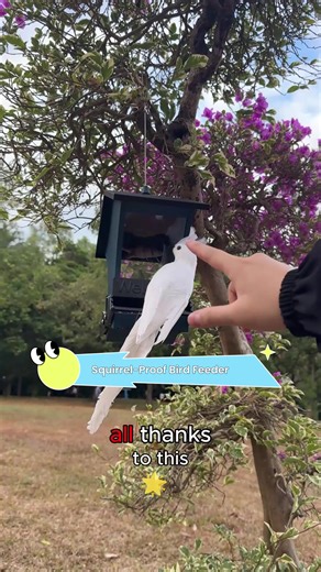Create Your Spring Paradise with a Squirrel-Proof Bird Feeder