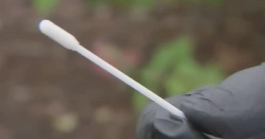 How to report your at home COVID-19 test