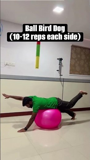 5 exercises for lumbar disc bulge with exercise ball : Arogya physiotips #herniateddisc #backpain