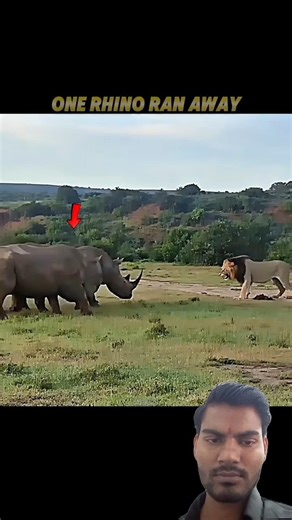 Lion king😳#shorts #viral #trending #greenscreen