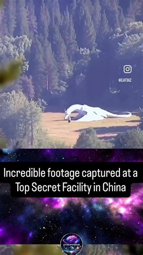 Myths worldwide speak of these majestic beings — benevolent guardians in the East, fierce sky-lords in the West. ✨ Science says no real fire-breathers exist (most ‘sightings’ are epic CGI or clever fakes), yet our planet still hides wild secrets: creatures once thought mythical that turned out real. 🤯 So… could something this magical still lurk in the shadows? Probably not… but the ‘what if’ keeps the wonder alive. Real, fake, or pure magic? Drop your take below! 🐉✨” ** Follow for Daily Phenom