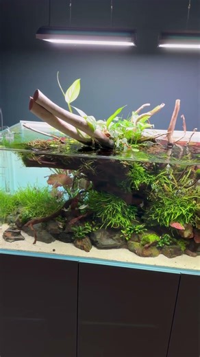 Latest build video out now on our channel 🌟