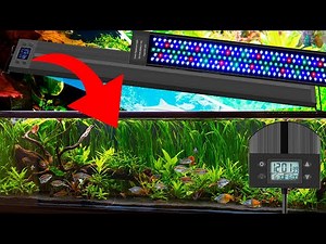 The WRGB lamps I use in my garden | Affordable and packed with interesting features