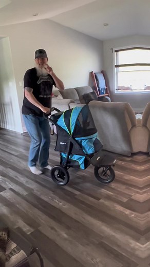 Strollin With Wheelburner & Cats! #cat #catdad #stroller #trucking #trucks ##catsoftiktok #truckers #trucklife