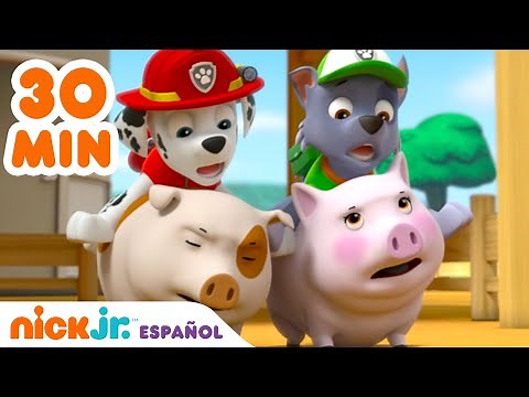 PAW Patrol, Patrulla de cachorros | 30 minutos de Paw Patrol salvando el día | Nick Jr. en Español