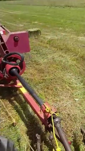 Baling Hay with Massey Ferguson 124 Baler