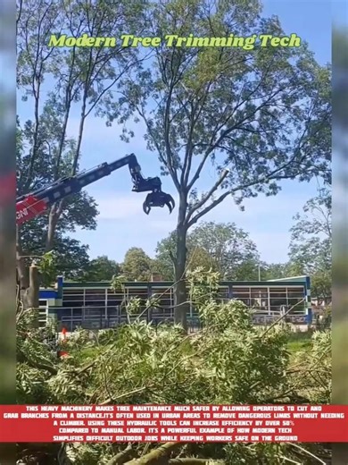 Modern Tree Trimming Tech