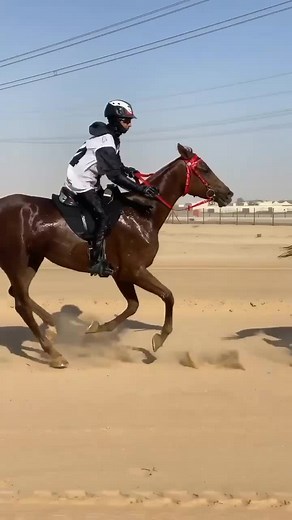 حسابات مقترحة