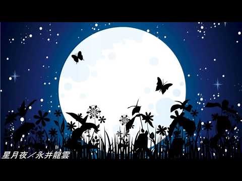 星月夜／永井龍雲