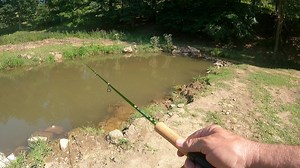 91K views · 713 reactions | Using the ACC Crappie Stix for trout....