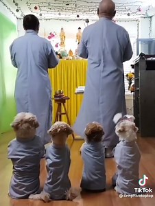 10K views | The real meaning of 'me and my house will..' | Lyn Hairstyles | Facebook