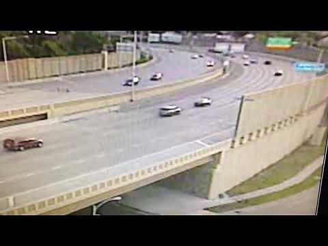 Deer’s jump off a bridge