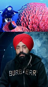 Animals That Defy Time: The Longest Living Creatures on Earth #LongestLivingAnimals #Longevity | Jot Tv Media