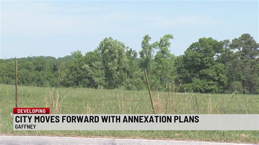 Controversial development plan approved by Gaffney council in first reading