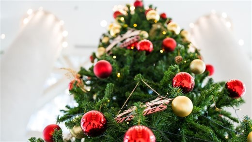 Where Is The World’s Largest Christmas Tree?